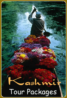 Kashmir Honeymoon Tours 